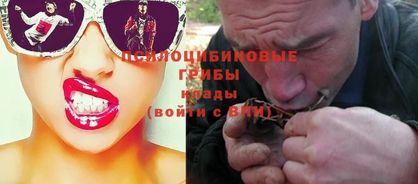 прущий лед Аркадак