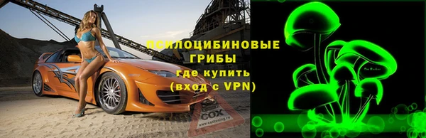 прущий лед Аркадак