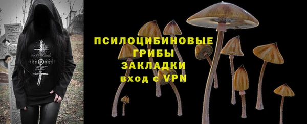 прущий лед Аркадак