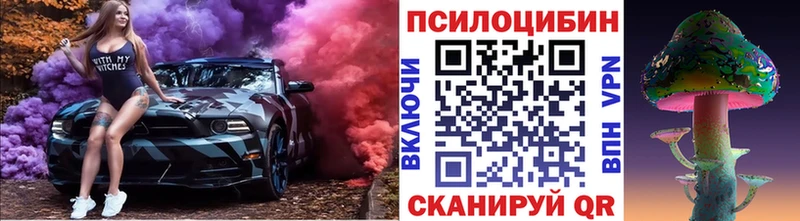 Галлюциногенные грибы прущие грибы  Северо-Курильск 